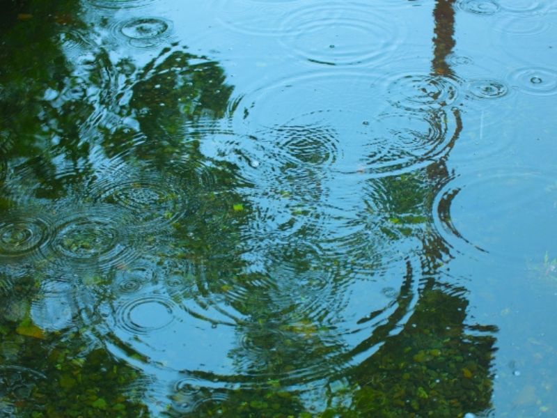 外壁塗装中に雨が降ったら延期？天候による工期への影響と対応方法