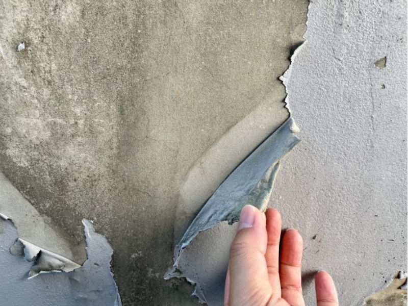 【外壁塗装】気になる「外壁の塗装の剥がれ」が起きる原因とは？お家を優しく守るためのチェックポイントと安心の対処法